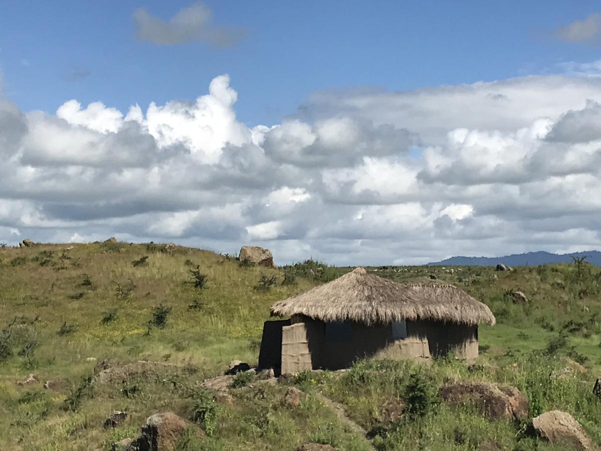 Osiligilai Maasai Lodge Sanya Juu 외부 사진